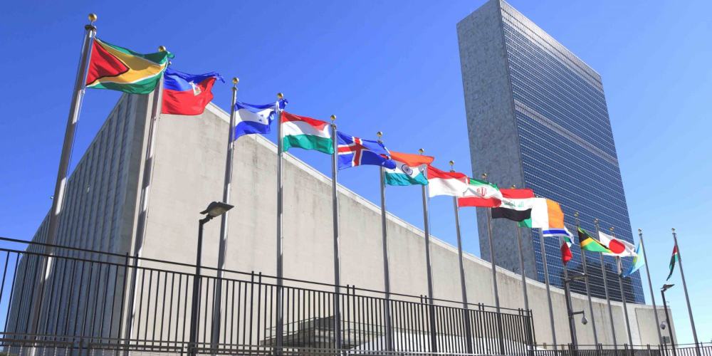 Organización de las Naciones Unidas