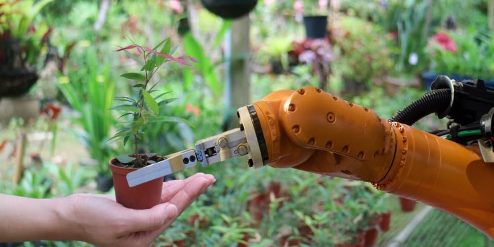 Robot agricultura