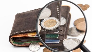 Cartera dinero lupa