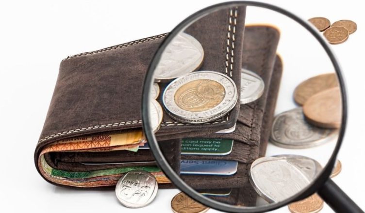 Cartera dinero lupa