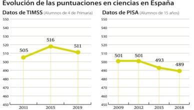 España - TIMSS 2019 - 1