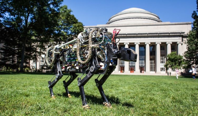 MIT robot