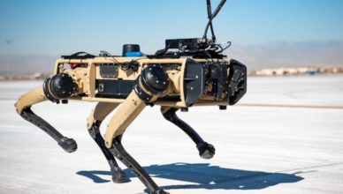 Robot perro