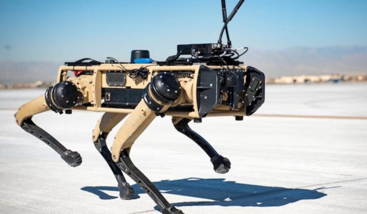Robot perro