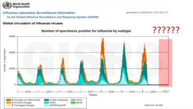 Covid-19 OMS Scam