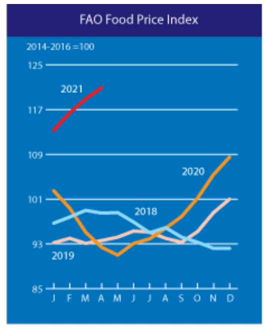 Alimentación - Inflación 2021 - 1