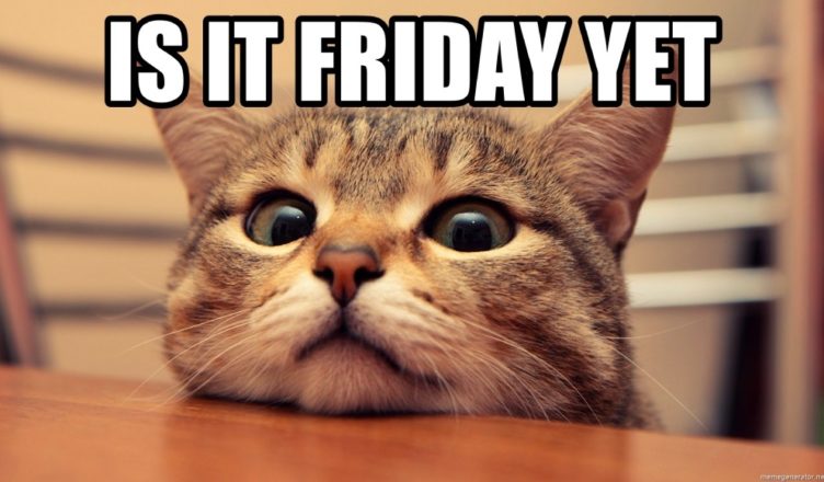 meme - Cat - Friday