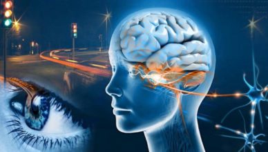 Ojos cerebro